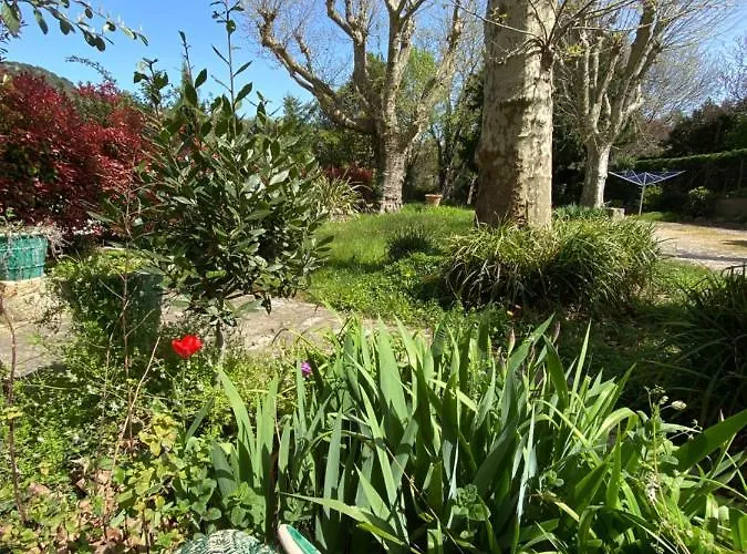 Les Platanes - Gogh Rez De Jardin Lamalou-les-Bains